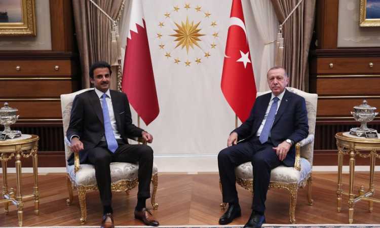 أردوغان وتميم