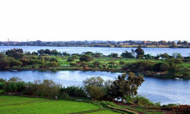 جزيرة نيلية
