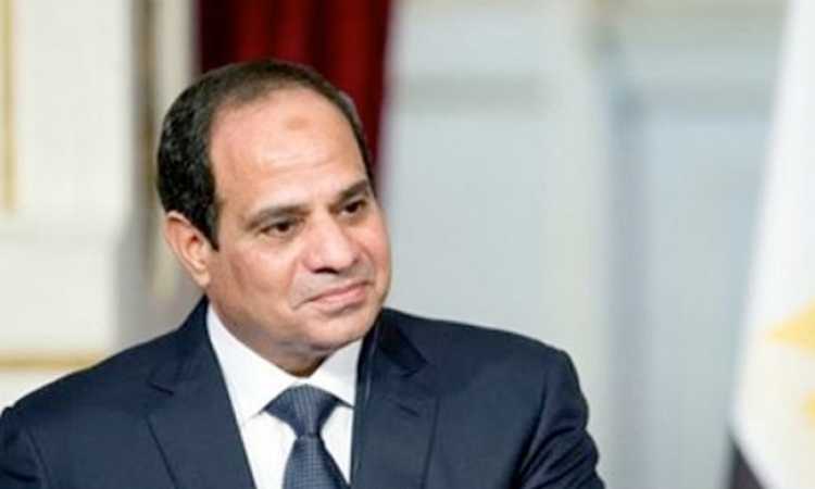 الرئيس السيسى  