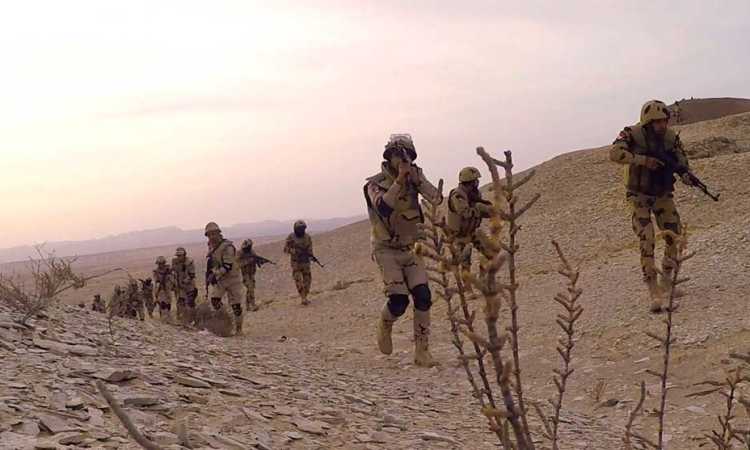 الجيش المصرى
