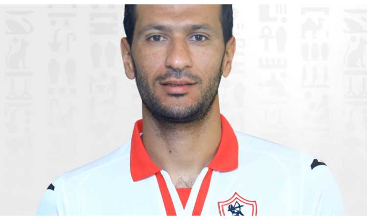 عماد السيد