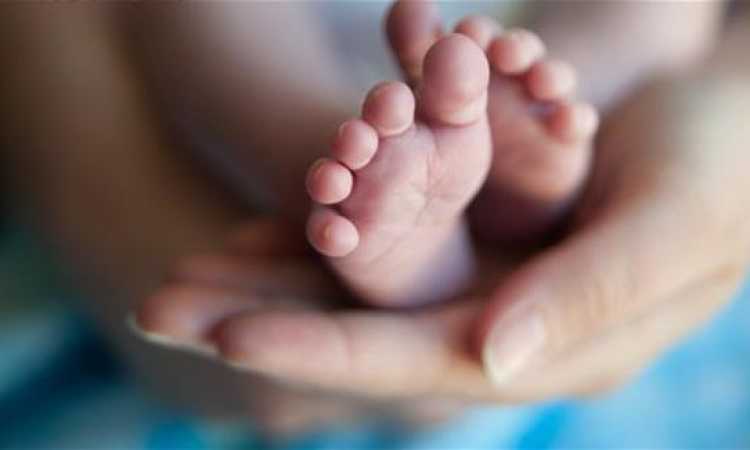زيادة فرص نجاح الحقن المجهرى
