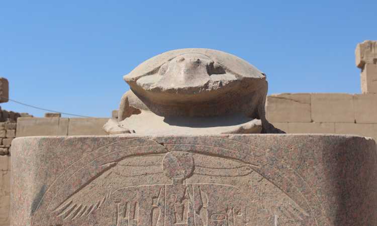 الجعران المقدس