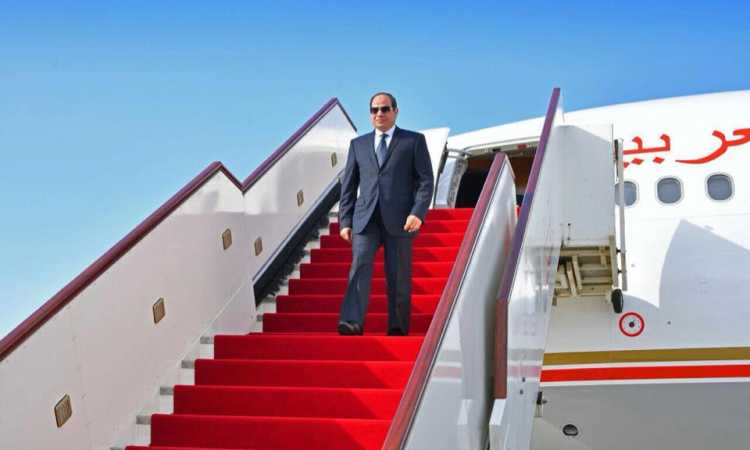 الرئيس السيسى