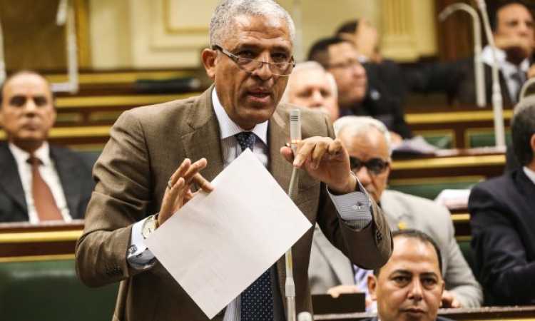 النائب محمد الحسينى