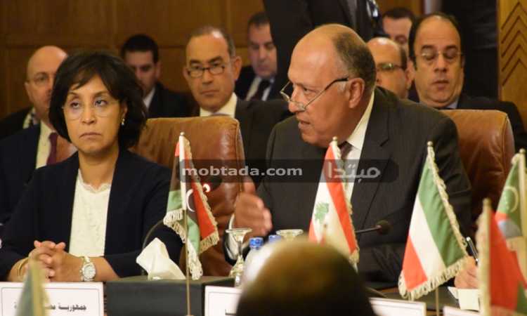 سامح شكرى