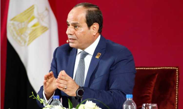الرئيس السيسى