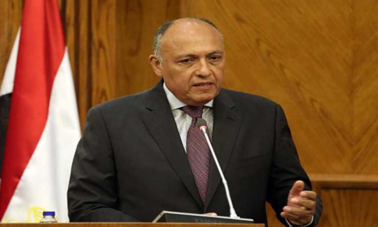 سامح شكرى - وزير الخارجية