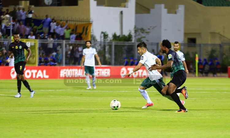 المصرى وفيتا كلوب