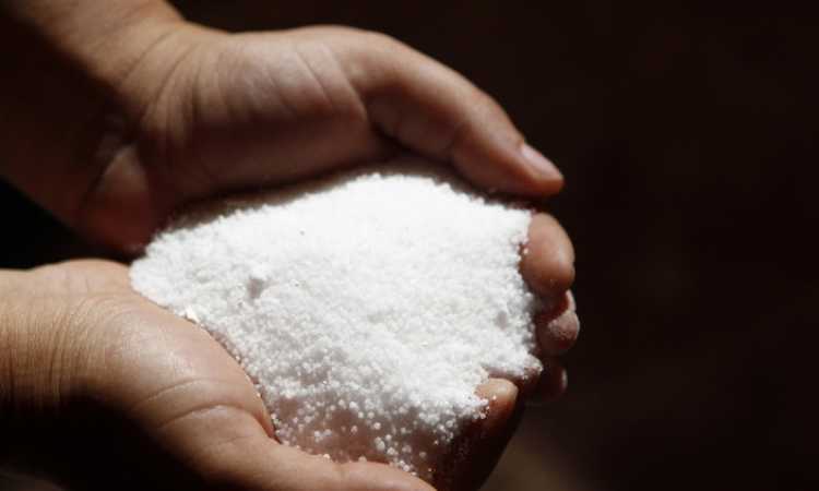 ملح الطعام