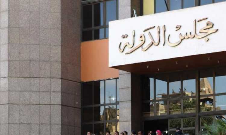 مجلس الدولة 