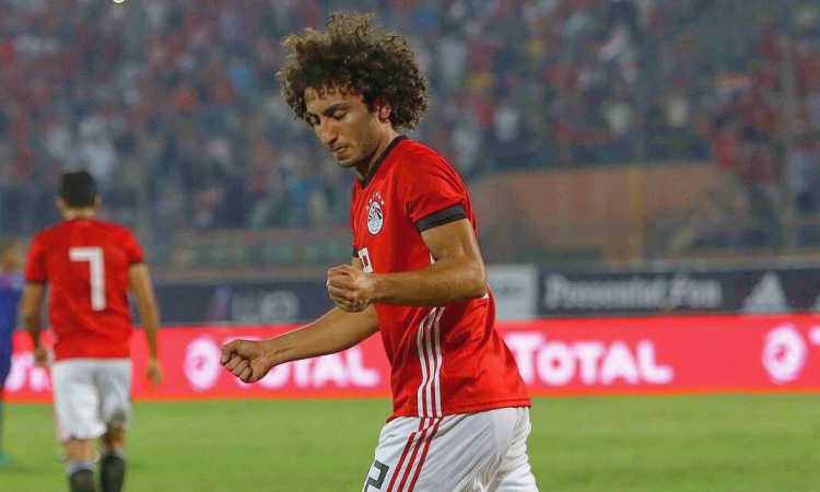 عمرو وردة