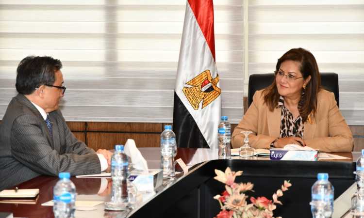 وزيرة التخطيط