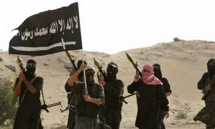 الإرهاب فى سيناء