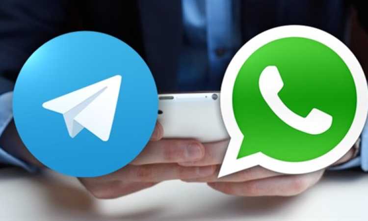 تيليجرام وواتساب