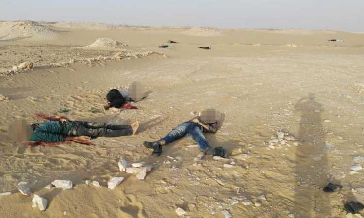 عناصر إرهابية