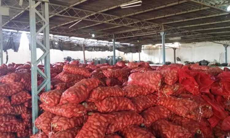 البطاطس المضبوطة