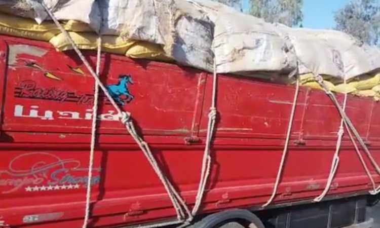 دقيق مدعم