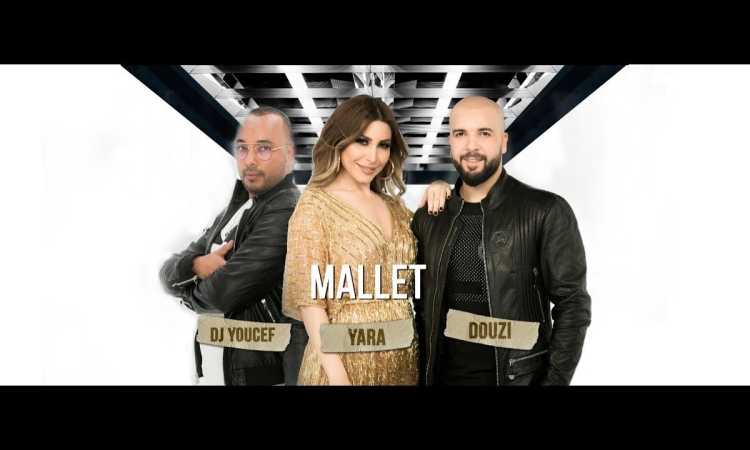 يارا ويوسف وديزى