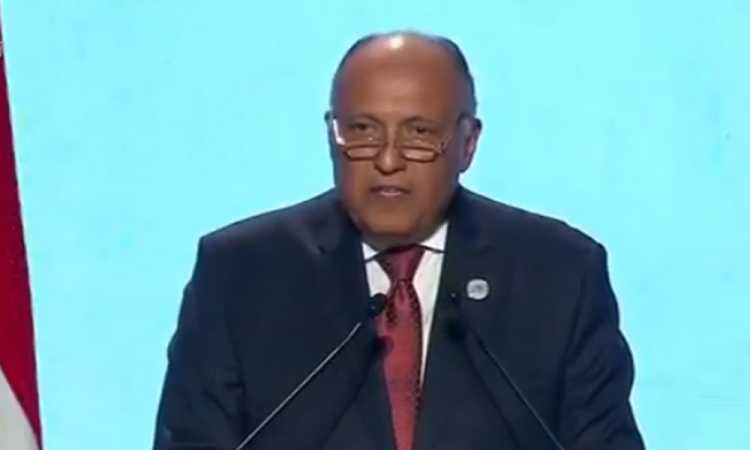 سامح شكرى