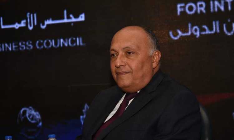 سامح شكرى - وزير الخارجية