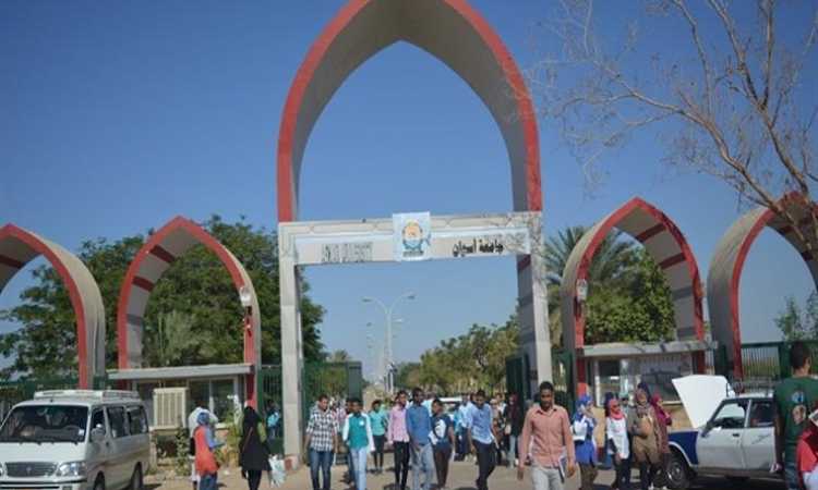 جامعة أسوان