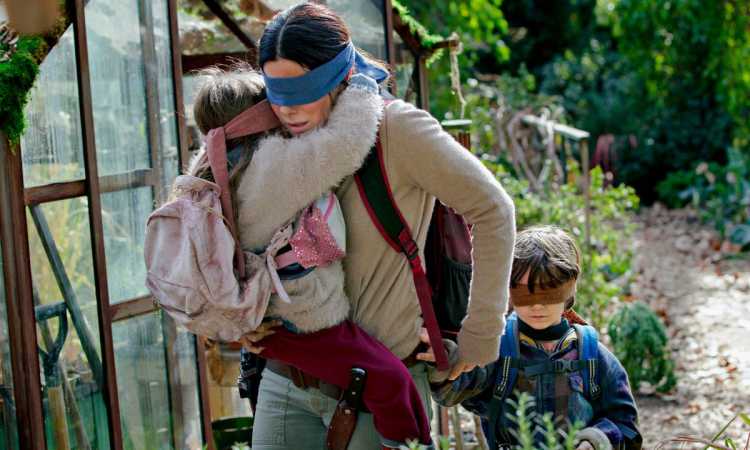 BirdBox