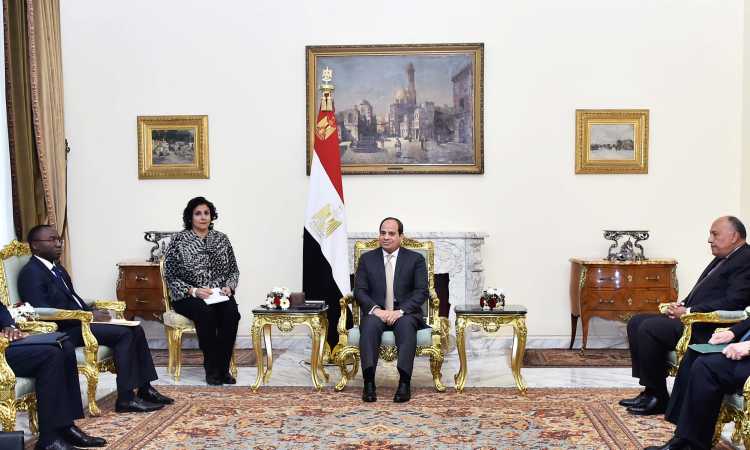 الرئيس السيسى ووفد من الكونغو