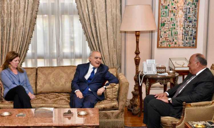 لقاء سامح شكرى والمُمثل الخاص لأمين عام الأمم المتحدة فى ليبيا