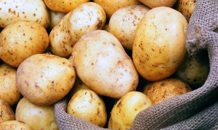 البطاطس