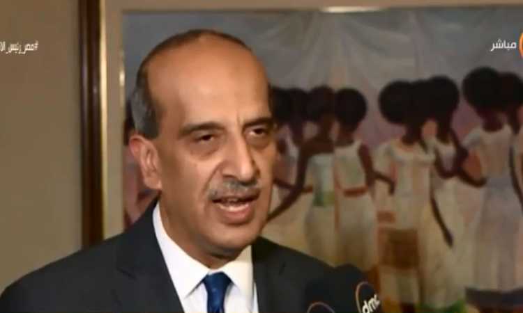 السفير أسامة عبدالخالق