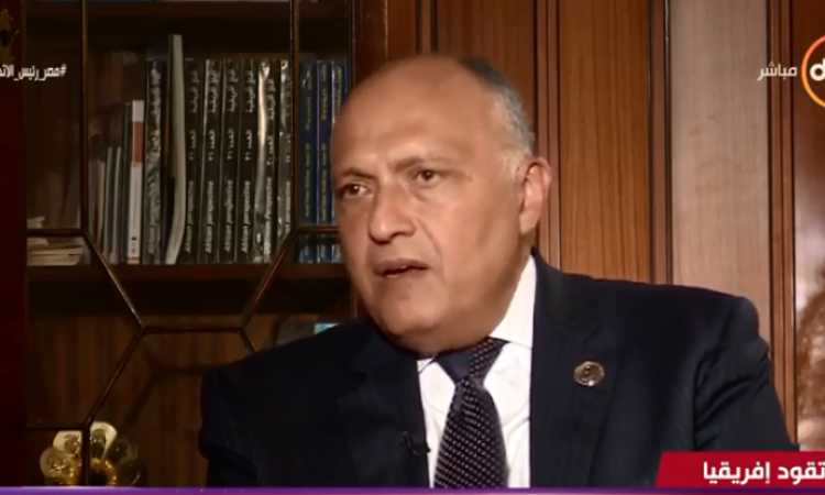 سامح شكرى