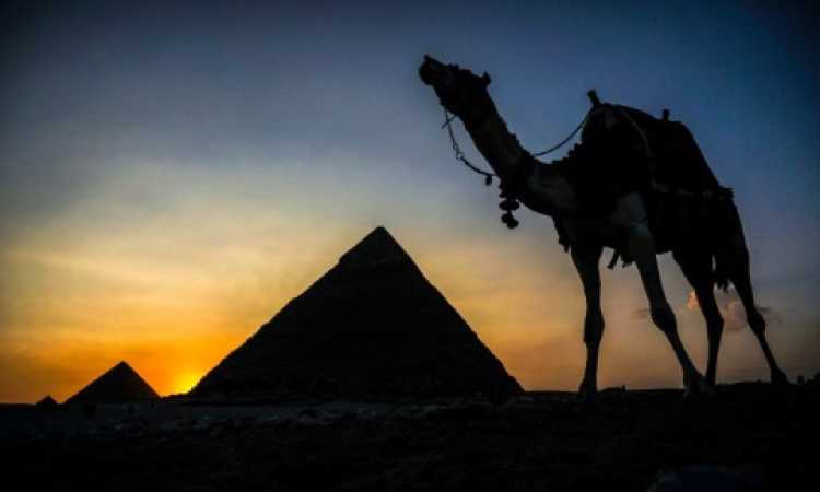 إعادة تابوت ذهبي إلى مصر