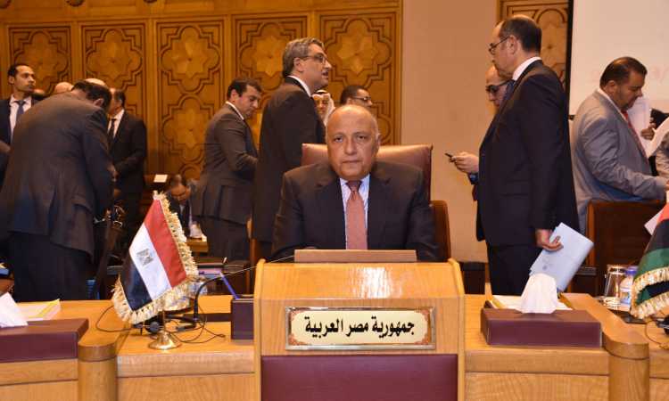سامح شكرى