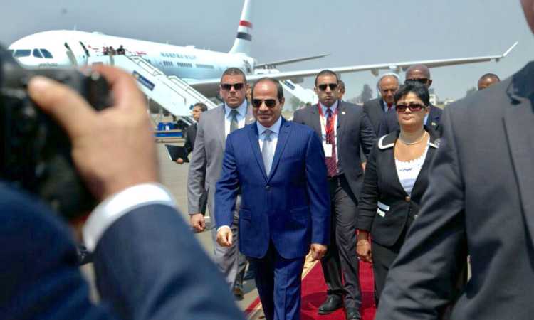 نميرة نجم مع الرئيس السيسى