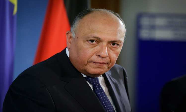 سامح شكرى