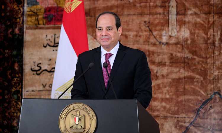 الرئيس عبدالفتاح السيسى