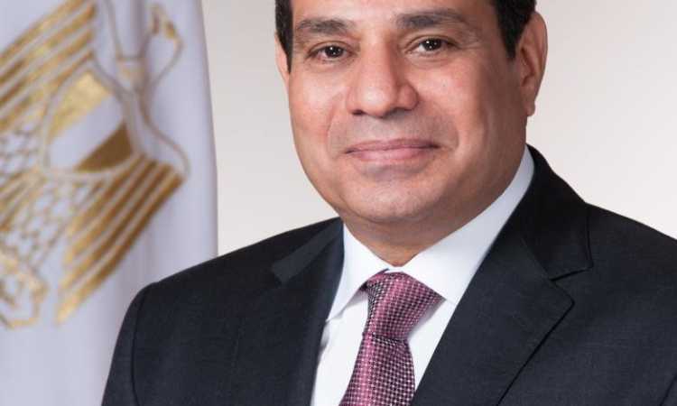 الرئيس عبدالفتاح السيسى