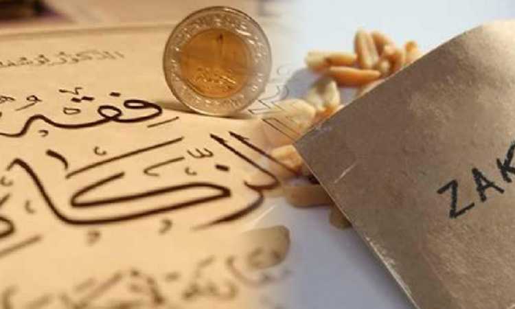 زكاة الفطر