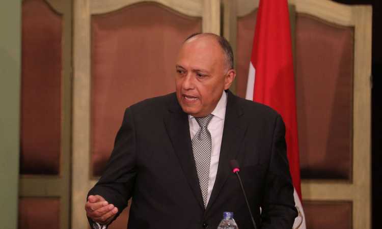 سامح شكرى