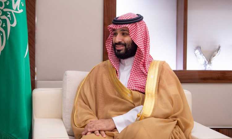 الأمير محمد بن سلمان ولى العهد السعودى