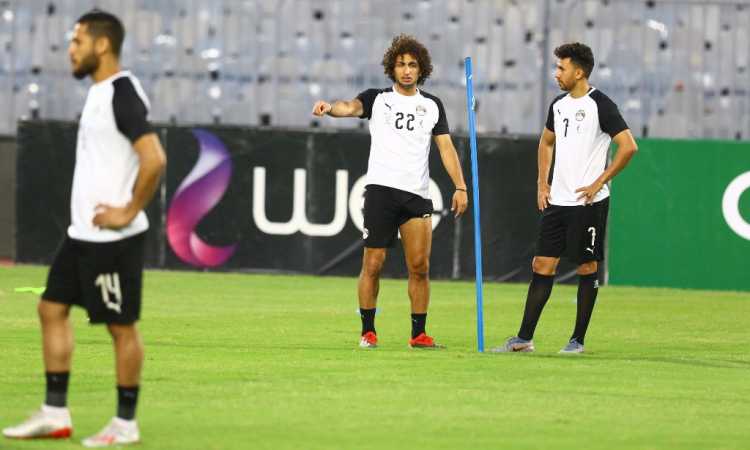 عمرو وردة