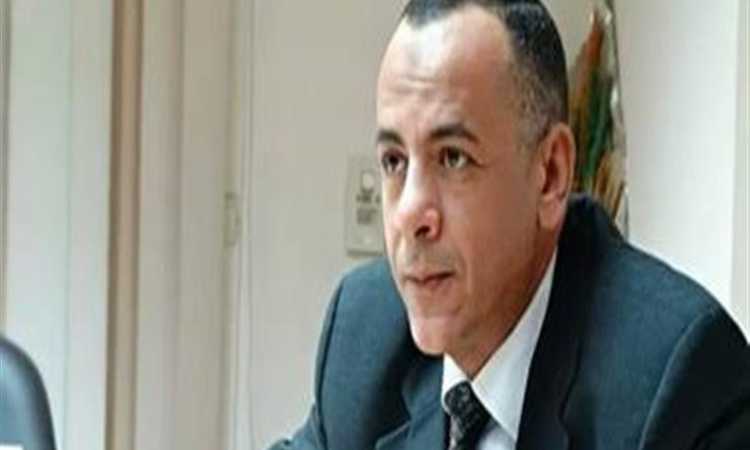 الدكتور مصطفى وزيرى
