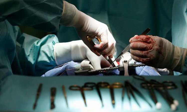 علاج الشلل