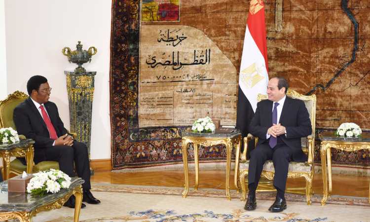 الرئيس السيسى يلتقى رئيس وزراء تنزانيا