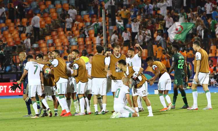 فرحة عارمة لـ «الثعالب» بعد التأهل لنهائى «كان 2019»