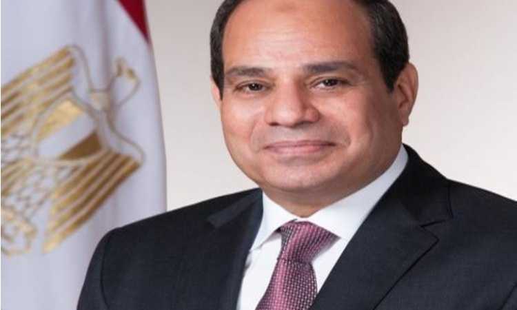 الرئيس عبد الفتاح السيسى
