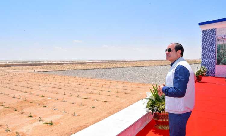 الرئيس السيسى يتفقد الصوب الزراعية الجديدة