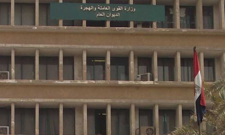 القوى العاملة