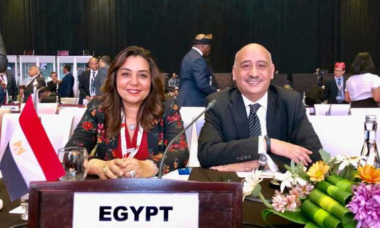 الدكتورة منال عوض محافظ دمياط
